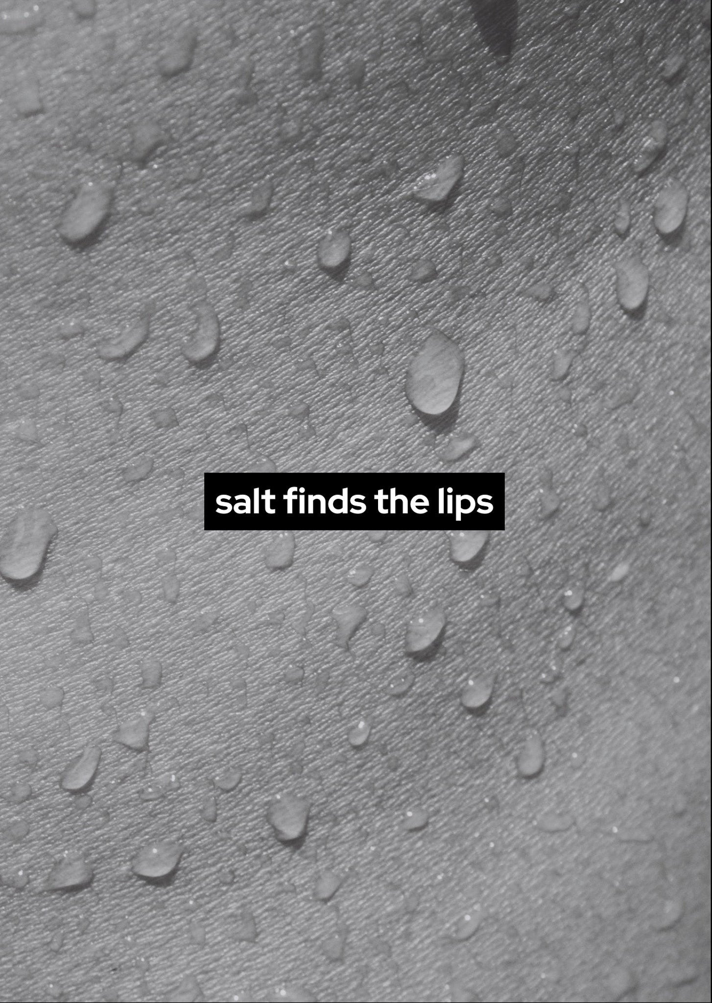 Text 'salt finds the lips' on a textured gray background